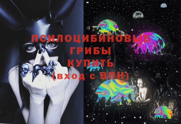 Альфа ПВП Алексин