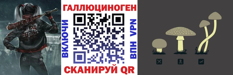 Галлюциногенные грибы ЛСД  Купить закладки  Хилок 