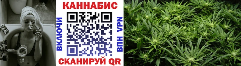 Купить закладки  Хилок  Каннабис план 